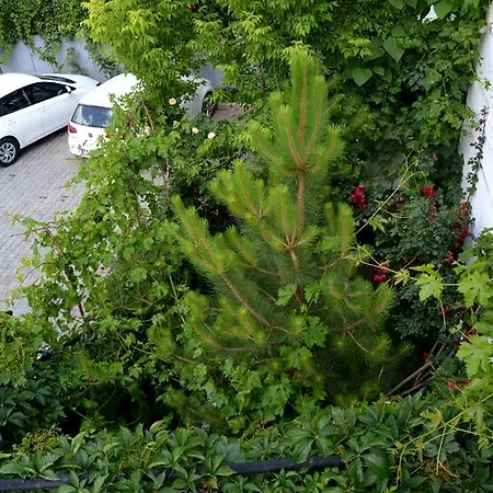 Hotel Garden 3*